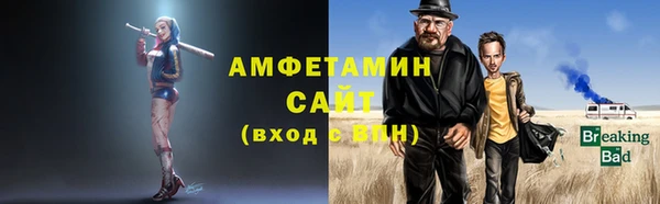 шишки Беломорск