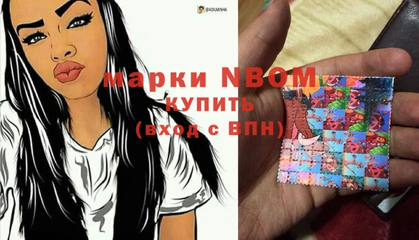 шишки Беломорск