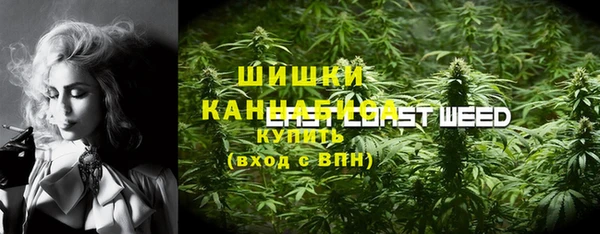 мдма Белокуриха