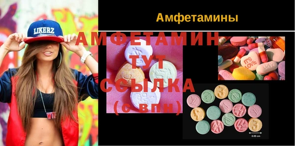 шишки Беломорск