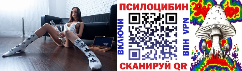 как найти   Луховицы  Псилоцибиновые грибы Psilocybine cubensis 