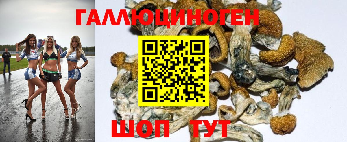 Луховицы  Галлюциногенные грибы GOLDEN TEACHER  Вход с VPN 