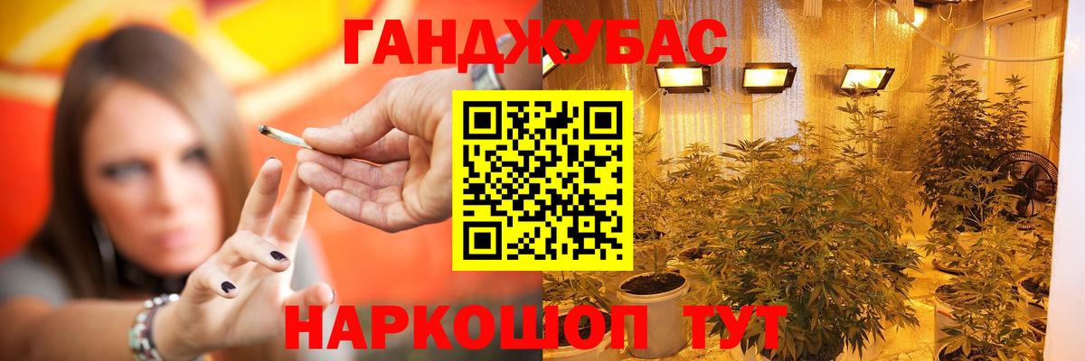 Бошки Шишки планчик Луховицы